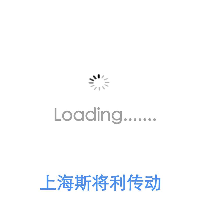 ISSOKU BAC issoku丝杆精度